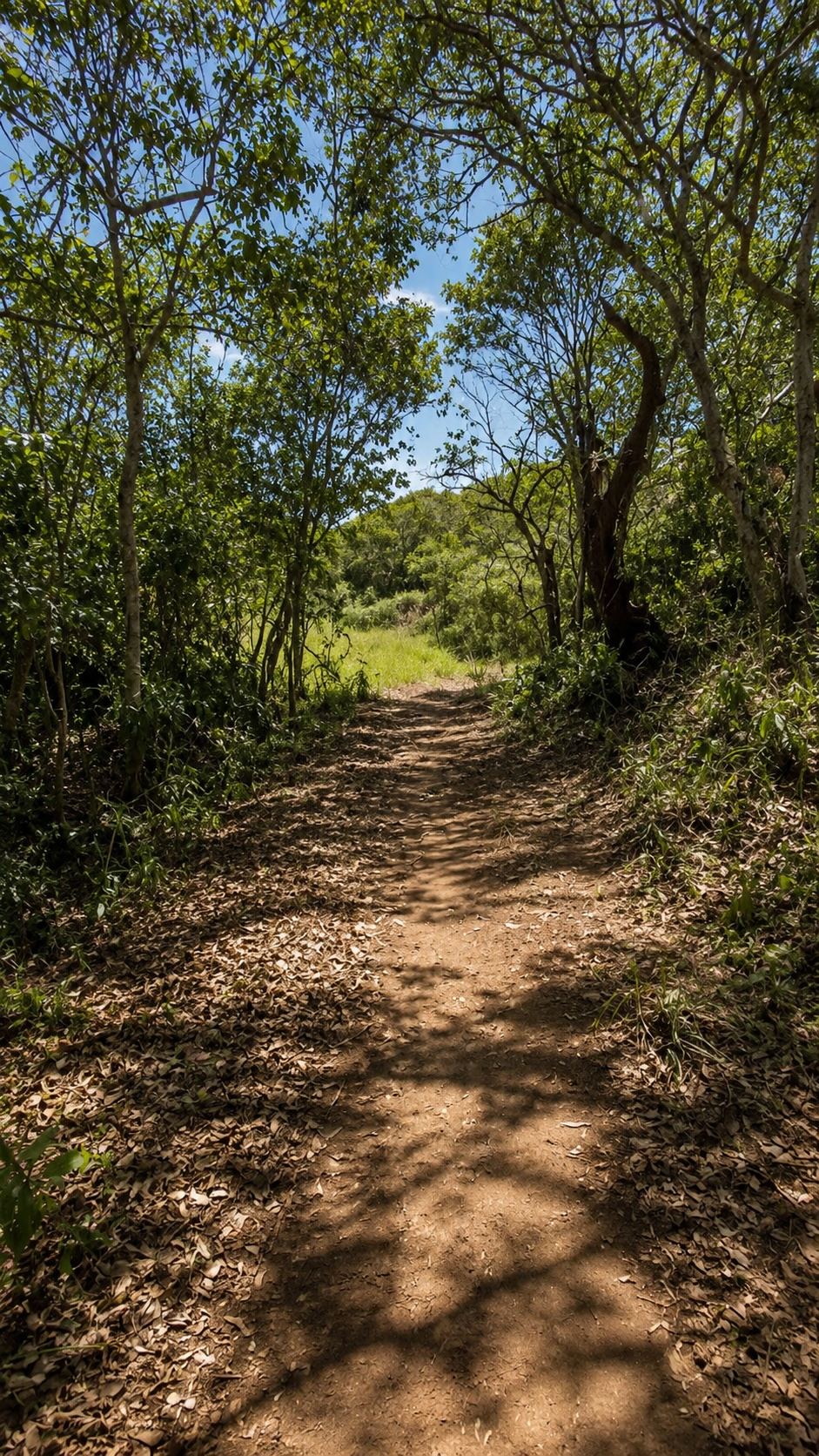 Shaded path leading up to the plateau